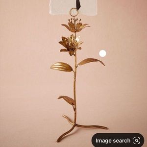 ISO BHLDN Secret Garden Number Holders